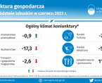 Koniunktura gospodarcza w województwie lubuskim w czerwcu 2023 r. - INFOGRAFIKA Foto