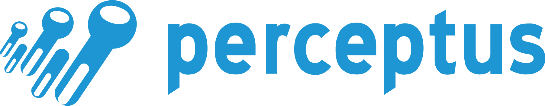 Logo firmy Perceptus