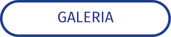 Przycisk podstrony galeria