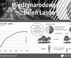 Międzynarodowy Dzień Lasów Foto