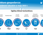 Koniunktura gospodarcza w województwie lubuskim w maju 2022 r. Foto