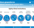 Koniunktura gospodarcza w województwie lubuskim we wrześniu 2022 r. - INFOGRAFIKA Foto