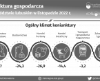 Koniunktura Gospodarcza w województwie lubuskim w listopadzie 2022 r. - INFOGRAFIKA Foto