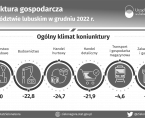 Koniunktura Gospodarcza w województwie lubuskim w grudniu 2022 r. - INFOGRAFIKA Foto