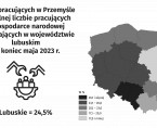 Infografika - Pracujący w gospodarce narodowej w maju 2023 r. Foto
