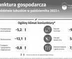 Koniunktura gospodarcza w województwie lubuskim w październiku 2023 r. - INFOGRAFIKA Foto