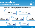 Koniunktura gospodarcza w województwie lubuskim w lutym 2024 r. - INFOGRAFIKA Foto