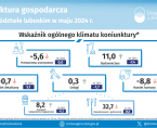 Koniunktura gospodarcza w województwie lubuskim w maju 2024 r. - INFOGRAFIKA Foto