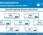Koniunktura gospodarcza w województwie lubuskim w czerwcu 2024 r. - INFOGRAFIKA Foto