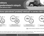 Koniunktura w gospodarstwach rolnych - INFOGRAFIKA Foto