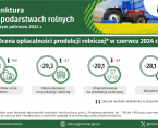 Koniunktura w gospodarstwach rolnych - INFOGRAFIKA Foto