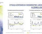 Sytuacja gospodarcza w województwie lubuskim w czerwcu 2026 r. -INFOGRAFIKA Foto