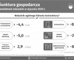 Koniunktura gospodarcza w województwie lubuskim w styczniu 2025 r. - INFOGRAFIKA Foto