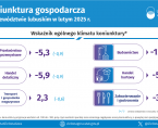 Koniunktura gospodarcza w województwie lubuskim w lutym 2025 r. - INFOGRAFIKA Foto