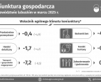 Koniunktura gospodarcza w województwie lubuskim w marcu 2025 r. - INFOGRAFIKA Foto