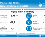 Koniunktura gospodarcza w województwie lubuskim w styczniu 2023 r. - INFOGRAFIKA Foto